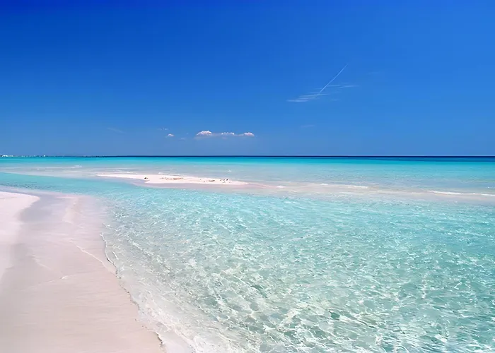 아파트 Relax 갈리폴리